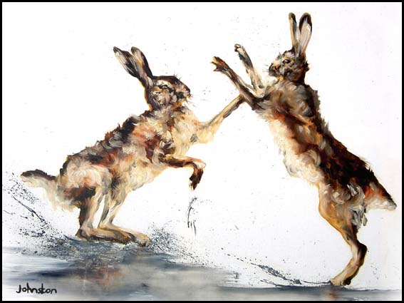 BoxingHares
